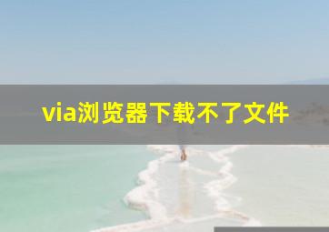 via浏览器下载不了文件