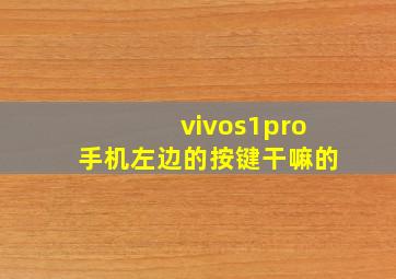 vivos1pro手机左边的按键干嘛的