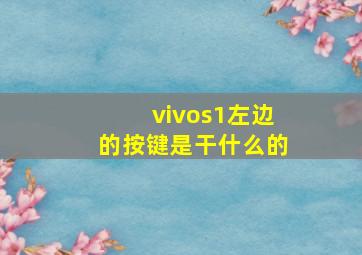 vivos1左边的按键是干什么的