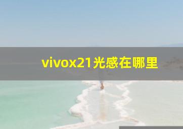 vivox21光感在哪里