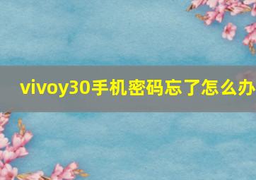 vivoy30手机密码忘了怎么办