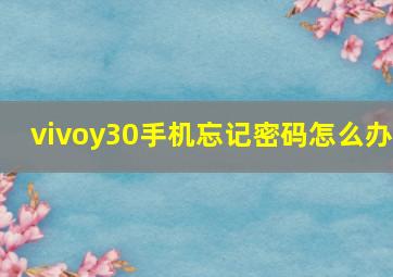 vivoy30手机忘记密码怎么办