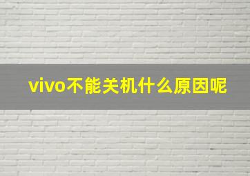 vivo不能关机什么原因呢