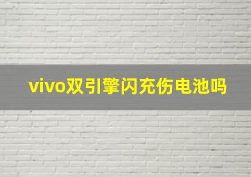 vivo双引擎闪充伤电池吗