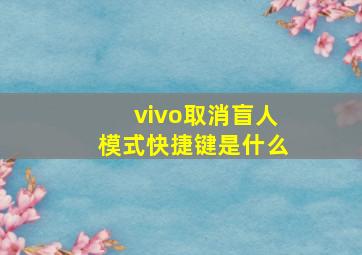 vivo取消盲人模式快捷键是什么