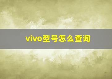 vivo型号怎么查询