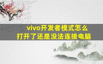 vivo开发者模式怎么打开了还是没法连接电脑