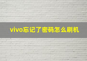 vivo忘记了密码怎么刷机