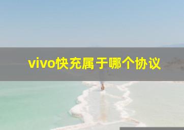 vivo快充属于哪个协议