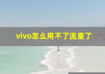 vivo怎么用不了流量了