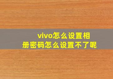 vivo怎么设置相册密码怎么设置不了呢