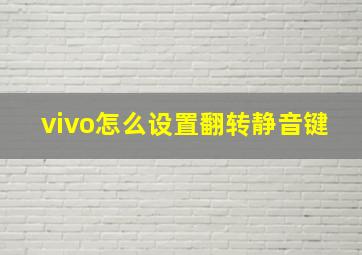 vivo怎么设置翻转静音键