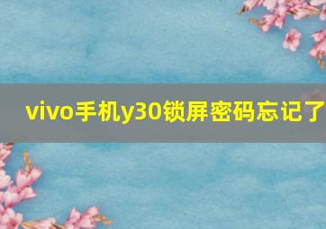 vivo手机y30锁屏密码忘记了