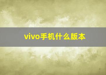 vivo手机什么版本