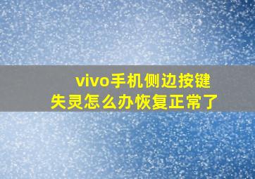 vivo手机侧边按键失灵怎么办恢复正常了