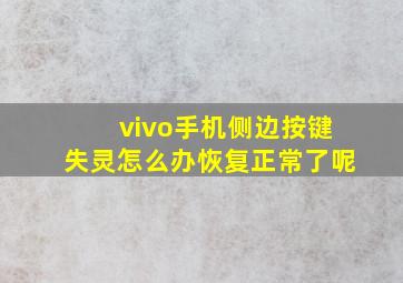 vivo手机侧边按键失灵怎么办恢复正常了呢