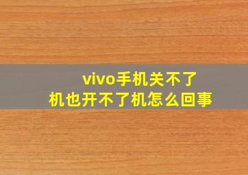 vivo手机关不了机也开不了机怎么回事