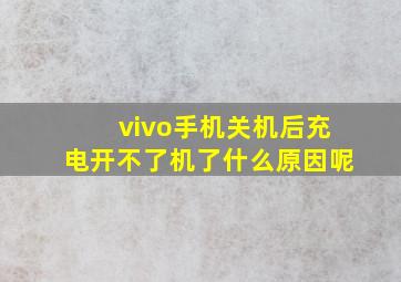 vivo手机关机后充电开不了机了什么原因呢