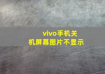 vivo手机关机屏幕图片不显示