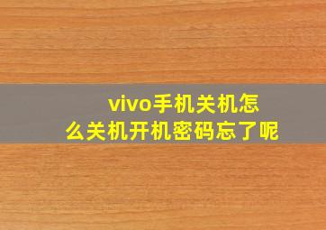 vivo手机关机怎么关机开机密码忘了呢