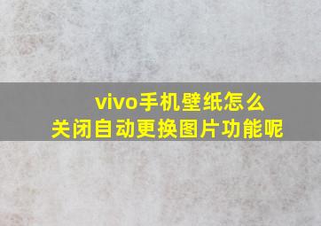 vivo手机壁纸怎么关闭自动更换图片功能呢