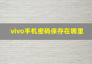 vivo手机密码保存在哪里