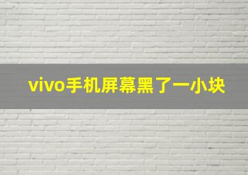 vivo手机屏幕黑了一小块