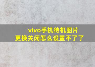 vivo手机待机图片更换关闭怎么设置不了了