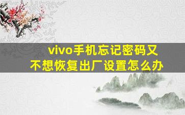 vivo手机忘记密码又不想恢复出厂设置怎么办