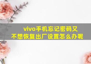 vivo手机忘记密码又不想恢复出厂设置怎么办呢