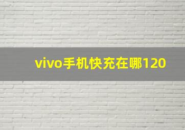 vivo手机快充在哪120