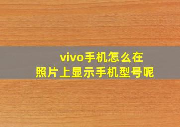 vivo手机怎么在照片上显示手机型号呢