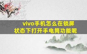 vivo手机怎么在锁屏状态下打开手电筒功能呢