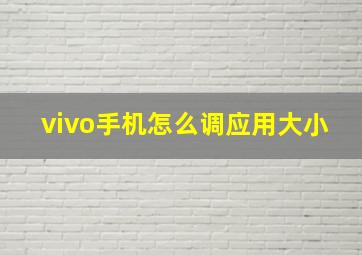 vivo手机怎么调应用大小