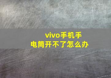 vivo手机手电筒开不了怎么办