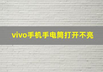 vivo手机手电筒打开不亮