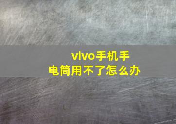 vivo手机手电筒用不了怎么办