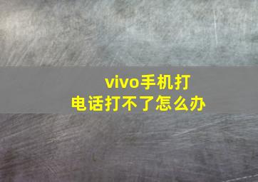 vivo手机打电话打不了怎么办