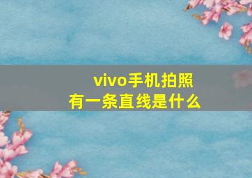 vivo手机拍照有一条直线是什么