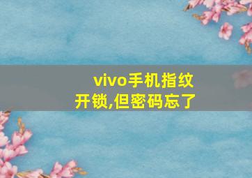 vivo手机指纹开锁,但密码忘了