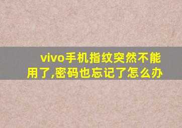 vivo手机指纹突然不能用了,密码也忘记了怎么办