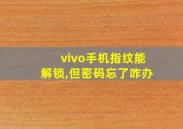 vivo手机指纹能解锁,但密码忘了咋办