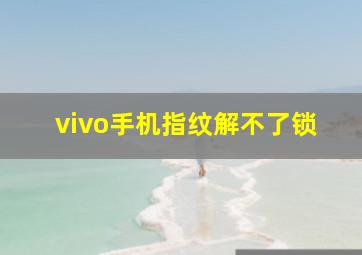 vivo手机指纹解不了锁