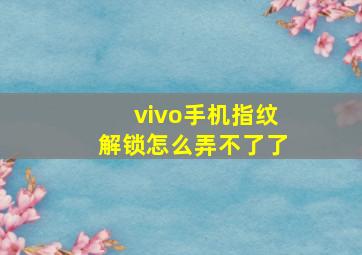 vivo手机指纹解锁怎么弄不了了