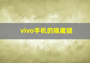 vivo手机的隐藏键