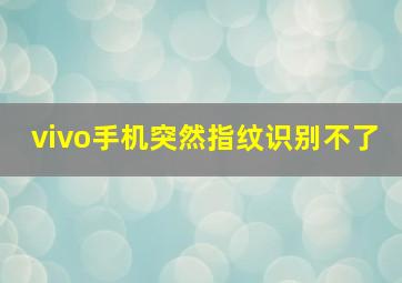 vivo手机突然指纹识别不了