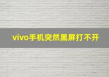 vivo手机突然黑屏打不开