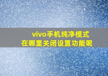 vivo手机纯净模式在哪里关闭设置功能呢