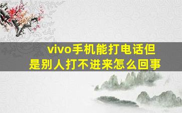 vivo手机能打电话但是别人打不进来怎么回事