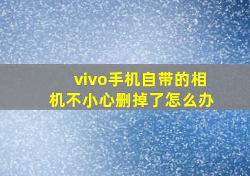 vivo手机自带的相机不小心删掉了怎么办